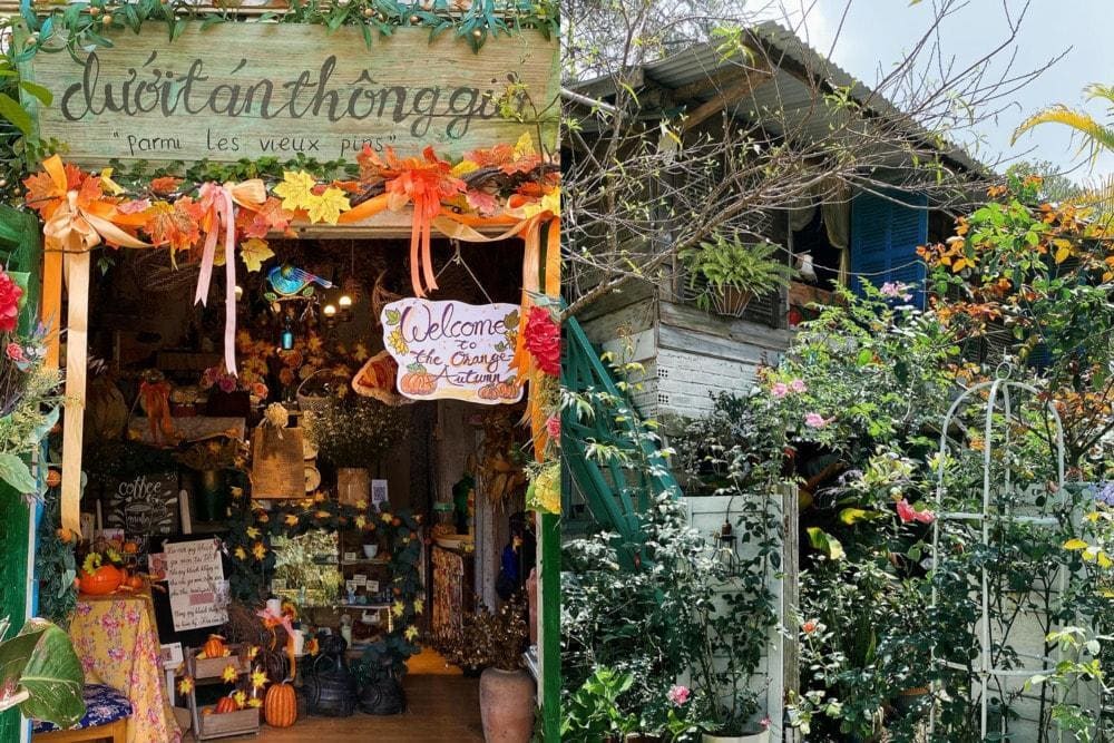 Dưới Tán Thông Già được thiết kế theo phong cách cổ điển, nhiệt đới (Nguồn: Fanpage Dưới Tán Thông Già Coffee House)